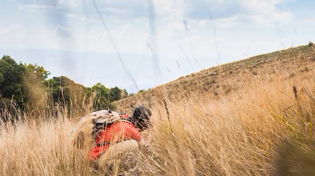 Guide to Surviving Yonder Mountains Harvest Fest Tips and Tricks for a Memorable Experience