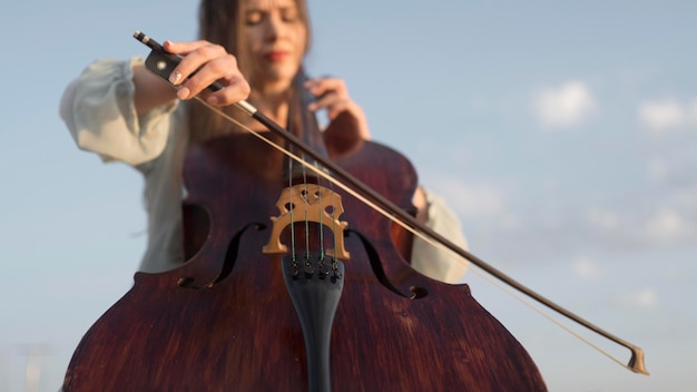 Interesting Violin Facts You Didn’t Know About Violins